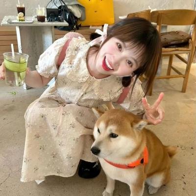 扑朔迷离